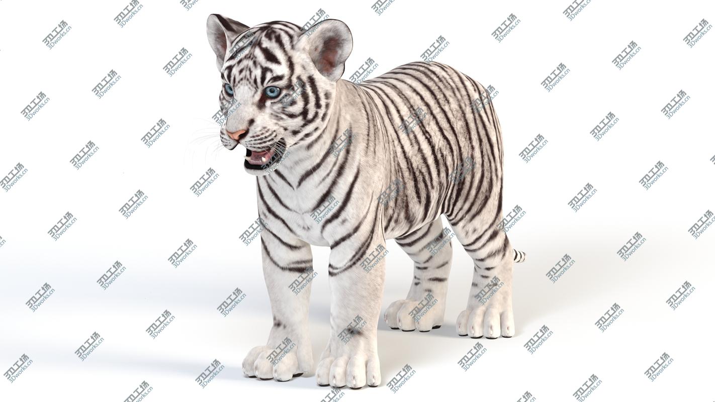 images/goods_img/20210319/White Baby Tiger 3D model/3.jpg